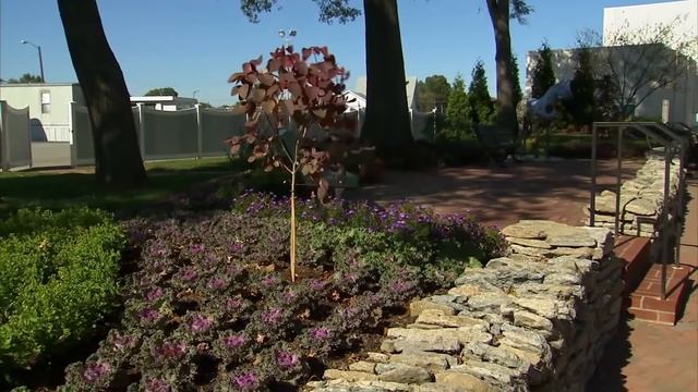 Creating Garden Rooms with Shapes & Forms | Garden Home (903) смотреть онлайн