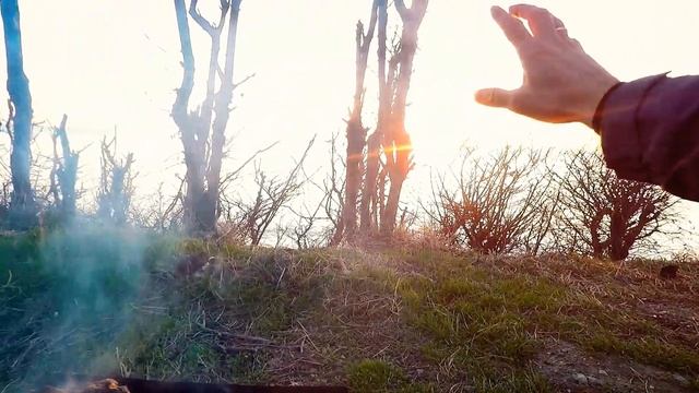 Мертвые медузы и лысые хомяки. ДР Егора LOVDAN vlog #218 Геленджик 04.01.2020 смотреть онлайн