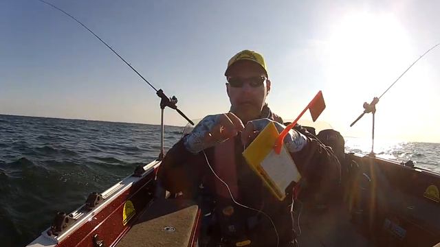 Kingston Walleye...Limestone City Fishing Charters...Off Shore Tackle Planer board setup смотреть онлайн