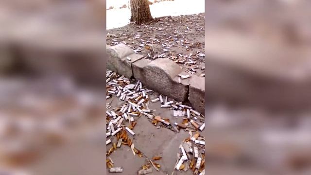 Берёзовые бруньки по-саратовски смотреть онлайн