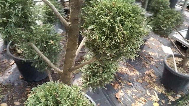 1000075602.mp4 смотреть онлайн