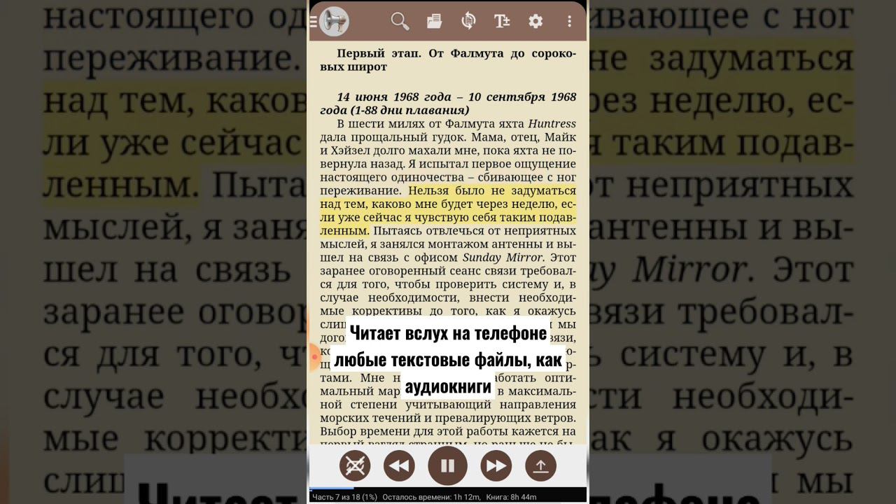 Синтезатор речи на телефоне. Очень удобно слушать книги в машине. Книга может быть любым текстом