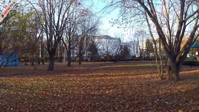 Москва. Екатерининский парк. Прогулка в парке.