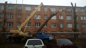 Спил дерева с автокраном
