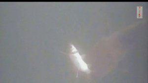 Поклевка Большого СОМА на живца, Подводная Съемка. рыбалка. fishing. Квок, Ловля сома на квок