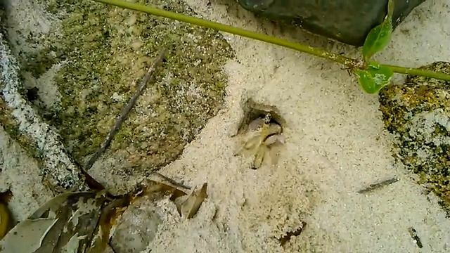 Естественная среда обитания смотреть онлайн