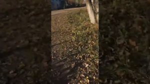 Показываем деревню кульпино