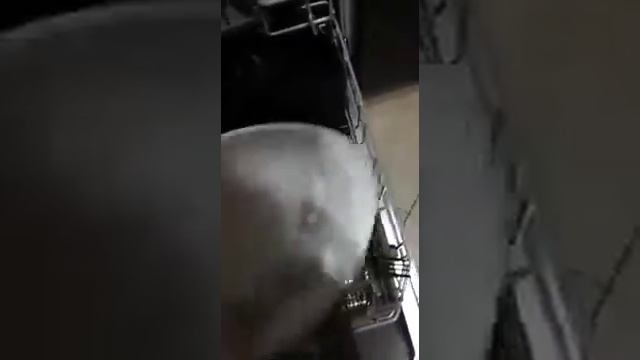 Пластины BioTrim (Greenway)идеально подходят для мытья посуды в посудомойках. смотреть онлайн