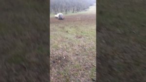 Mitsubishi pajero io 2.0 VS  Mitsubishi pajero io 1.8 (georgia)