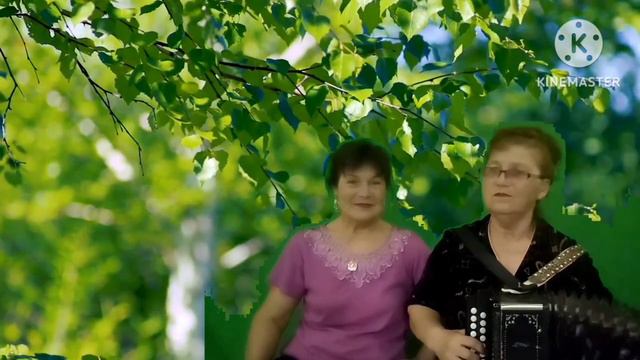 А жизнь моя течёт и катится (под гармонь)
