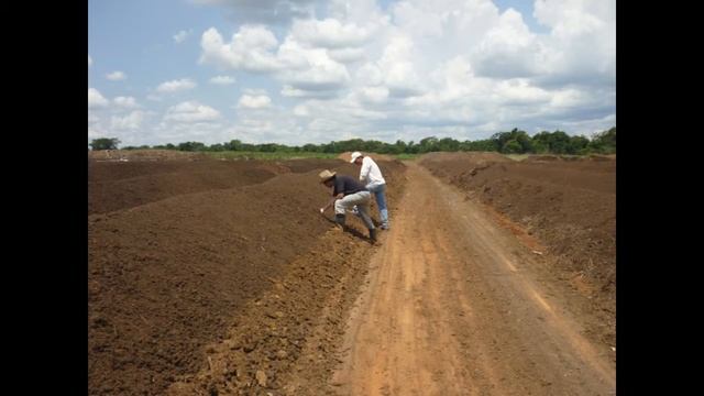 BioNex plantas de compost industrial смотреть онлайн