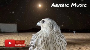 Арабские песни | Arabic Music | أغاني عربية