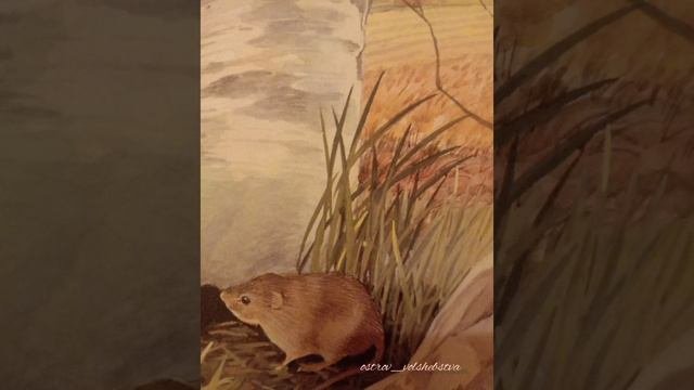 КТО КАК ЗИМУЕТ. #СКАЗКИНАНОЧЬ рассказы о животных #ВИТАЛИЙБИАНКИ