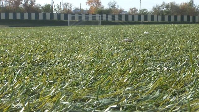 Ледовый дворец, бассейн и лыжная база. О строительстве новых спортивных объектов в Костанае смотреть онлайн