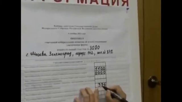 Альянс Зеленых для наблюдателей