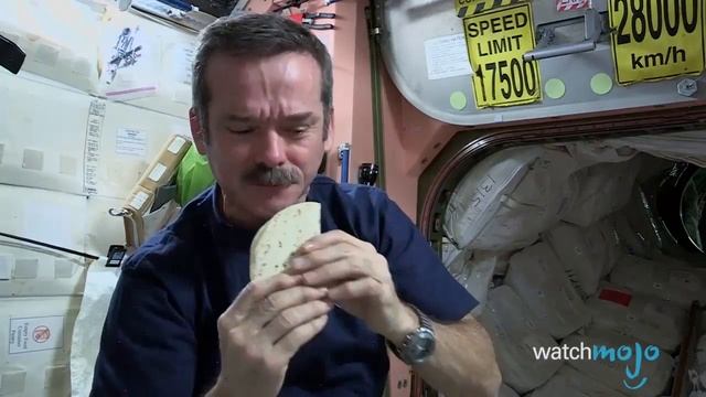 Топ 5 Необычных Фактов про Невесомость