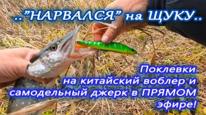 Нарвался на щуку! Поклевки на китайский воблер и джерк в прямом эфире!