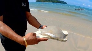 МАЛАЙЗИЯ ОСТОРОЖНО, ЯДОВИТЫЕ МЕДУЗЫ ⚠️ PURPLE FLAG BEACH JELLYFISH ZONE (2).mp4