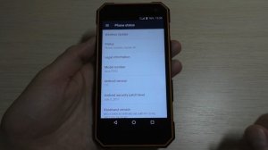 DEXP Ixion P350 incoming call