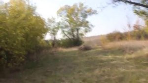 Гектар это сколько, мерим шагами. (участок 50 соток)