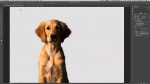 How to Use Refine Edge in Photoshop to Easily Place Your Subject on Another Background