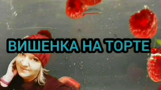 ЧЕМ ОНИ ВЕЧНО НЕДОВОЛЬНЫ? ANYANASTYA LIFE. ОБЗОР СТРИМА.