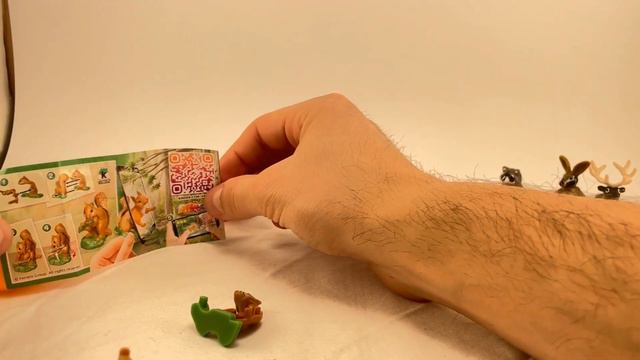 Kinder Surprise Eggs Opening #15 Assembling Natoons Collection 2021 Squirrel VU352 смотреть онлайн