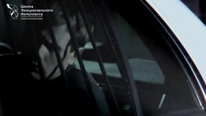 Пол Экман. Эмоции. Мимика. Жесты. О верификации лжи