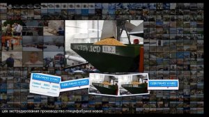 Новоеловская птицефабрика в Алтайском крае запустила новый цех