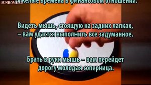 К чему снятся Мыши сонник, толкование сна