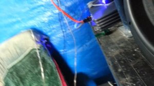 Alphard Hannibal hl-15x и Kicx QS 1.1000 первое включение