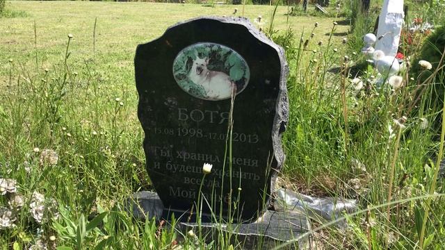 Кладбище домашних животных. Никогда не предам. смотреть онлайн