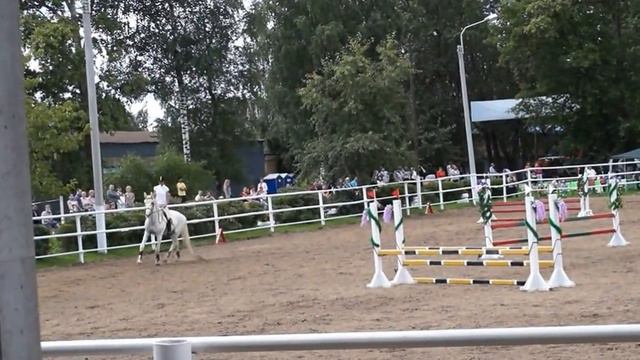 Соревнования по конкуру . Дети на лошадях преодолевают препятствия. смотреть онлайн
