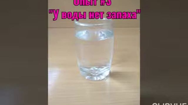 занятие в средней группе "В гости вэк воде" смотреть онлайн