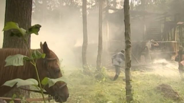 т/с Винтовая лестница