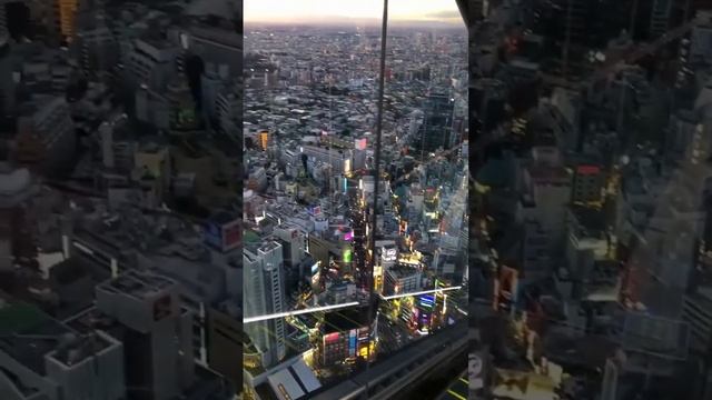 Scramble Square Shibuya?️