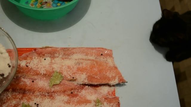 Горбуша малосольная смотреть онлайн