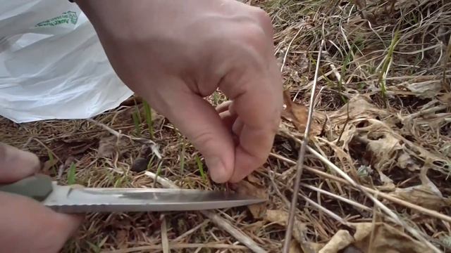 Первомайский сплав по малой сибирской реке Базаиха смотреть онлайн