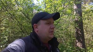 Один из первых выходов с Ванквиш 540