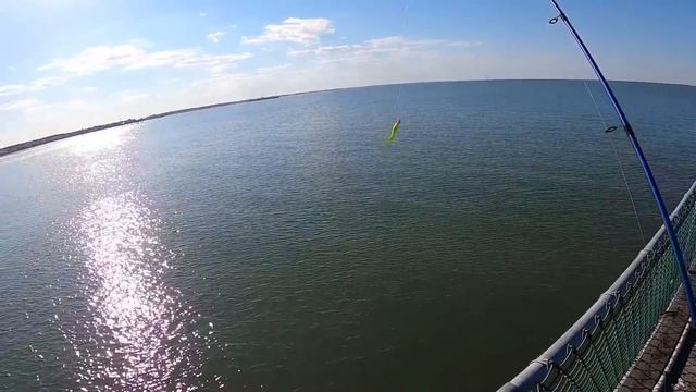 The MOST EXPENSIVE Walmart Saltwater Fishing Kit!! (Fishing Challenge) смотреть онлайн