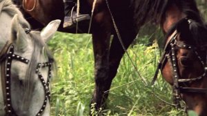 База отдыха Эко-парк «Зюраткуль»