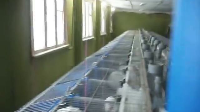 Обзор кроликофермы ЛПХ "Лакомка"
