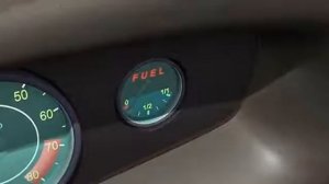 БЕРНАРД: В кактусе