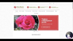 Где заказываю розы. Лучшие! Проверенные! Надежные питомники!