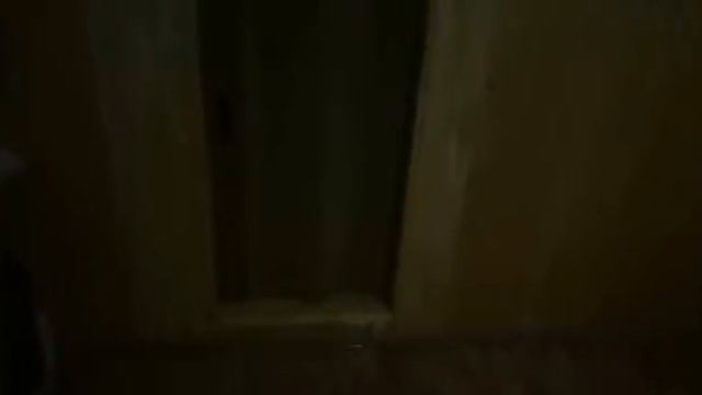 Установил пластиковую дверь (гармошка) 2 августа 2017 г. смотреть онлайн