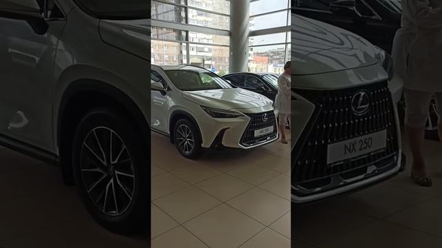 Цены Тойота июнь. Fortuner по цене Танк 300.