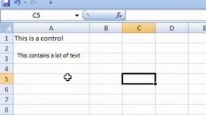 How to resize a control on a worksheet in a spreadsheet