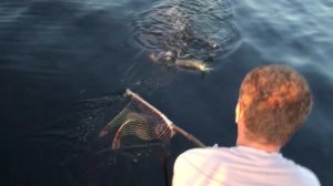 Озеро Воже.Рыбалка летом.m2t