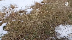 Баланс грунта на приборах фирмы АКА