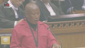 Five key takeouts from Julius Malema's Mugabe motion in parliament